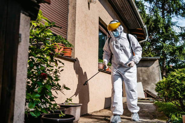 Best Residential Pest Control  in Iowa Colony, TX